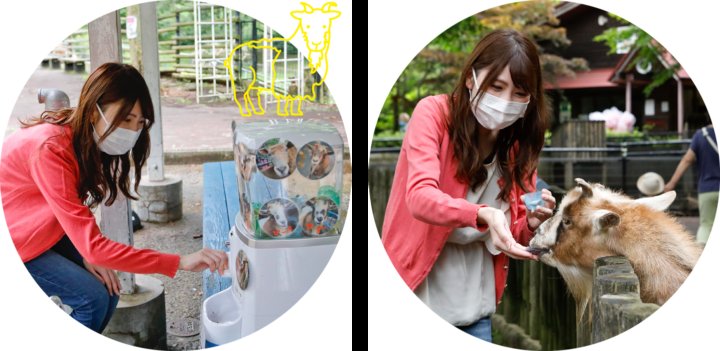 🏞️ 모리오카시 동물공원 줌오 이미지 9